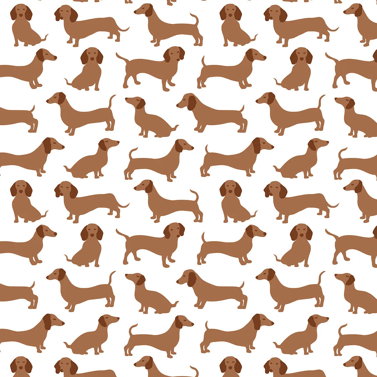 Bloomers - Dachshunds Brown