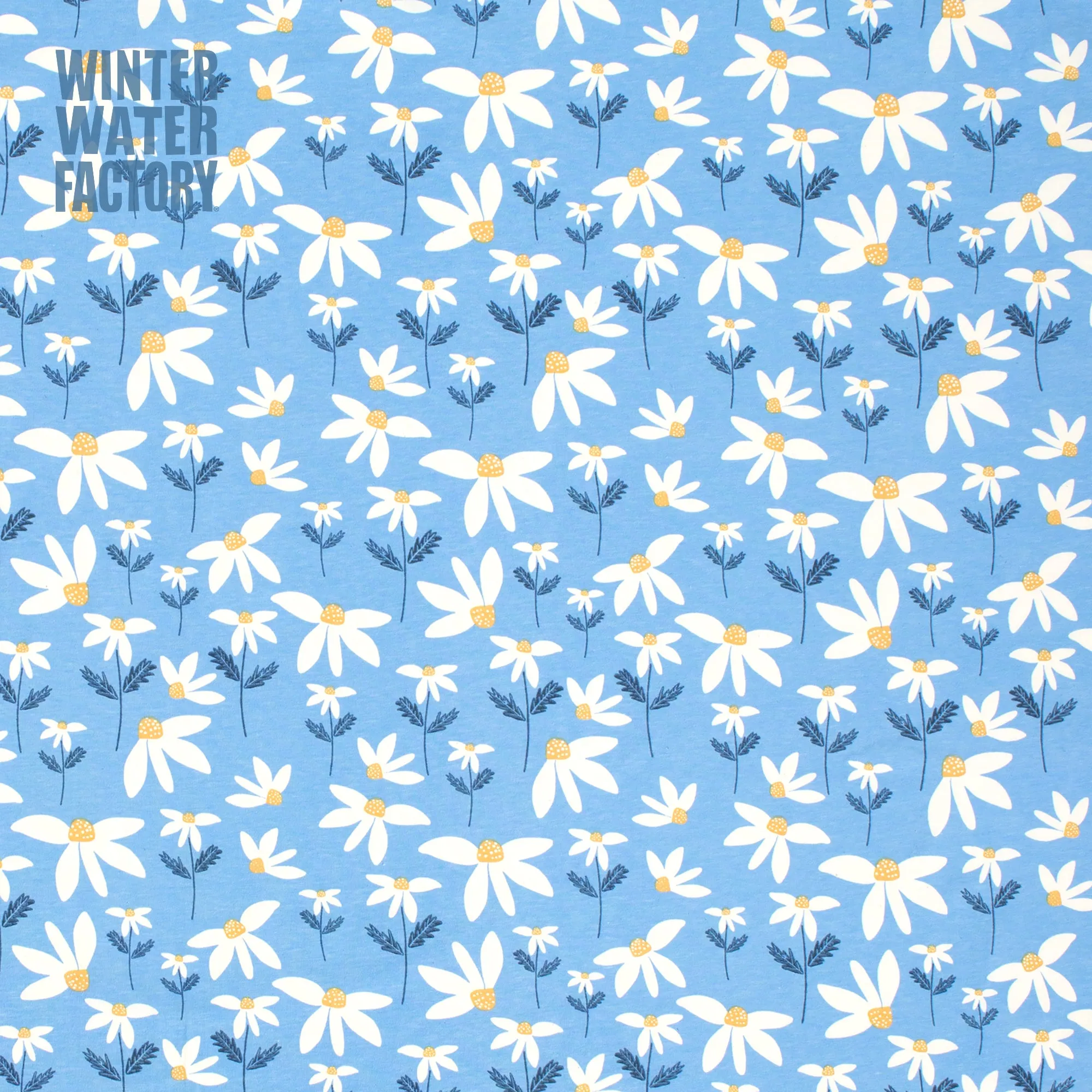 Bloomers - Daisies Blue