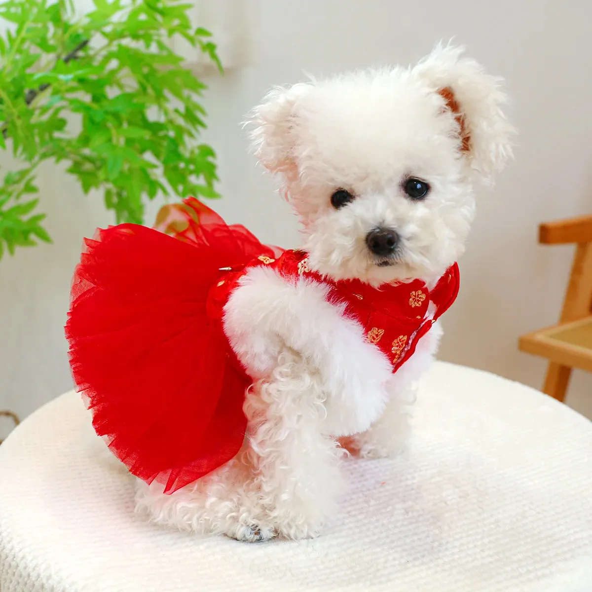 Chinoiserie Elegance: Red Celebration Princess Dress - Autumn and Winter Pet Clothing with Drawstring Buckle for Small to Medium Dogs