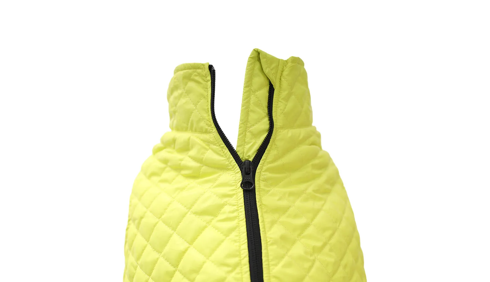 Lime Green Dog Quilted Jacket - Flat