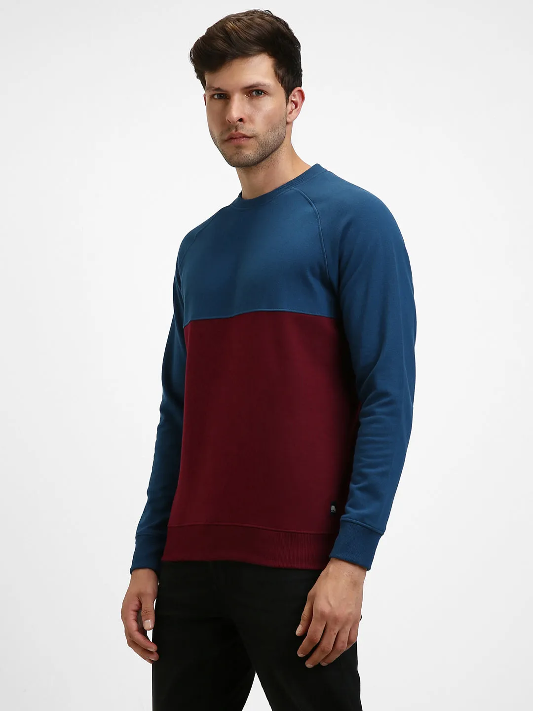 Men's Mock Neck Regular Fit Colourblock Blue Sweatshirt